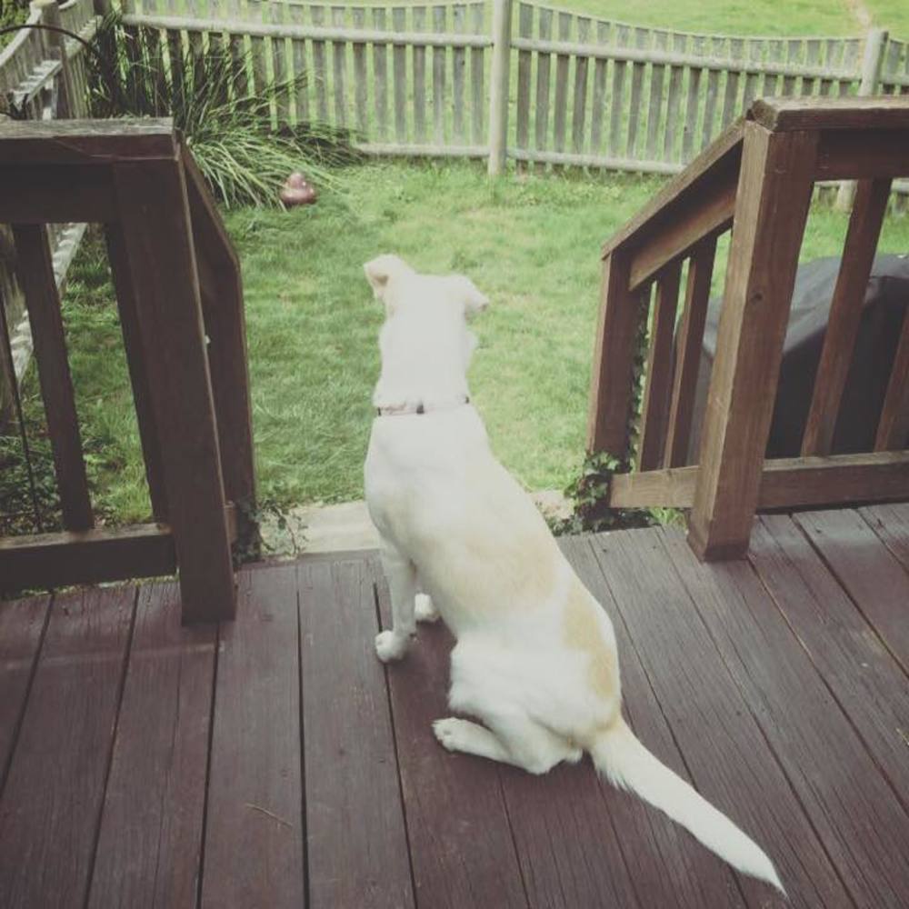 Meet your Posher, Leslie